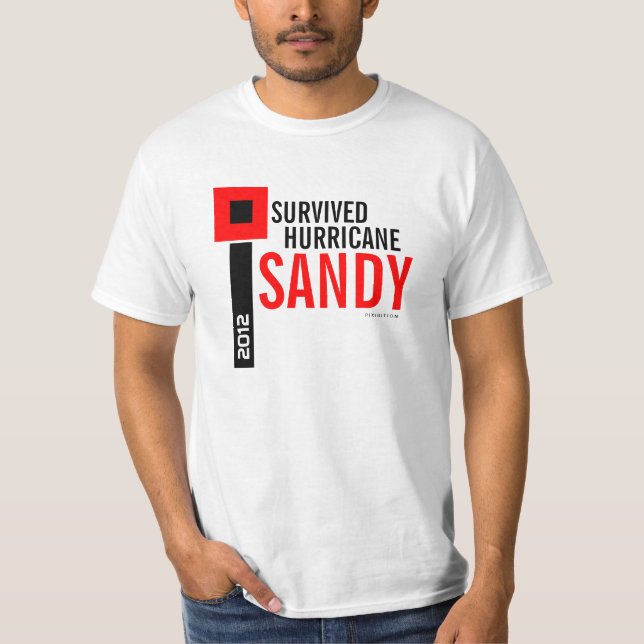 I Survived Hurricane Sandy T-Shirt 9 (Front)
