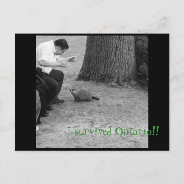 I survived Ontario!! Postcard (Front)
