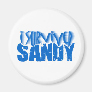 i survived SANDY Magnet