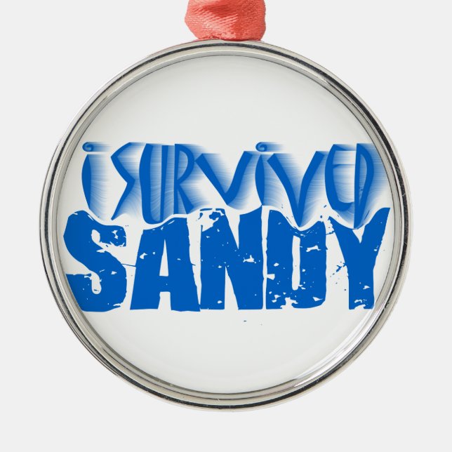i survived SANDY Metal Ornament (Front)