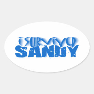 i survived SANDY Oval Sticker