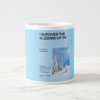 I Survived The Blizzard of '78