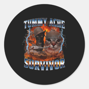 I Survived Today's Tummy Ache Funny Silly Cat Meme Classic Round Sticker