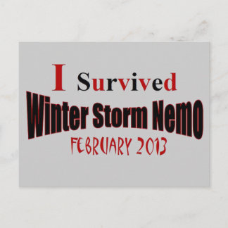 I Survived Winter Storm NEMO Postcard