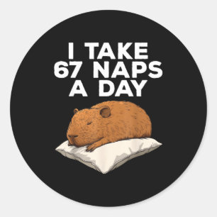 I Take 67 Naps A Day Funny Capybara Six Seven Meme Classic Round Sticker