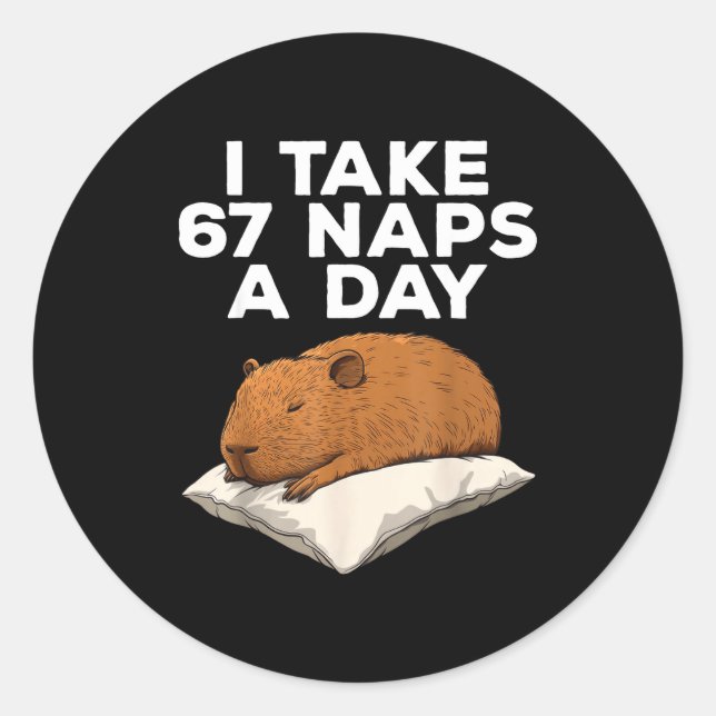 I Take 67 Naps A Day Funny Capybara Six Seven Meme Classic Round Sticker (Front)