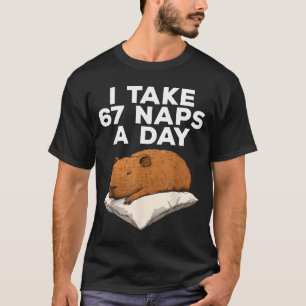 I Take 67 Naps A Day Funny Capybara Six Seven Meme T-Shirt
