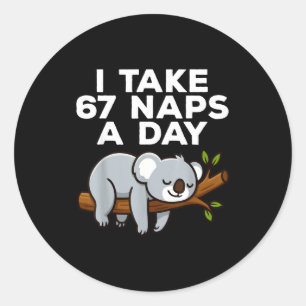 I Take 67 Naps A Day Funny Koala Six Seven Meme  Classic Round Sticker