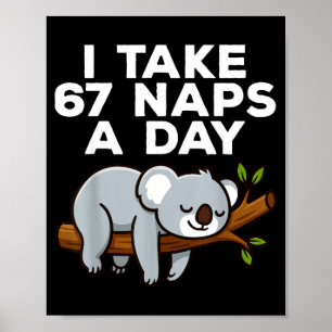 I Take 67 Naps A Day Funny Koala Six Seven Meme Poster