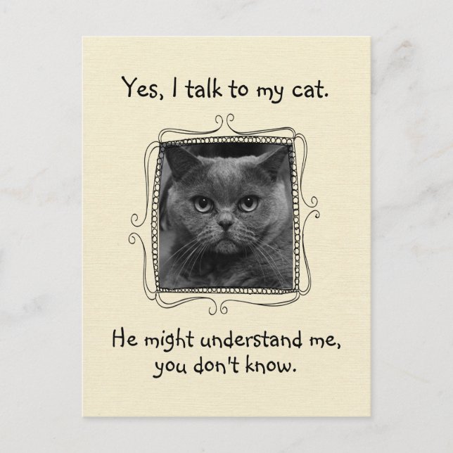I Talk to My Cat | Funny Custom Postcard (Front)