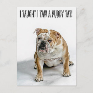 I taught I taw a puddy tat Postcard