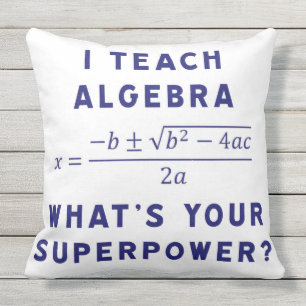 i teach algebra throw pillow