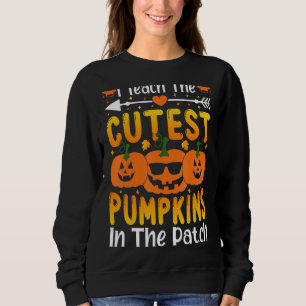 I Teach The Cutest Pumpkins In The Patch Fall Seas Sweatshirt