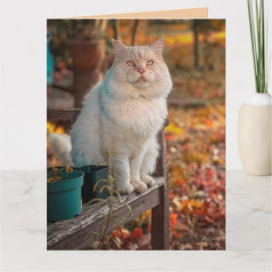 I THANK GOD EVERY REMEMBRANCE OF YOU CAT CARD