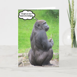 I thought you were meant to be intelligent. thank you card