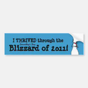 I thrived the Groundhog's Day Storm of 2011 Bumper Sticker