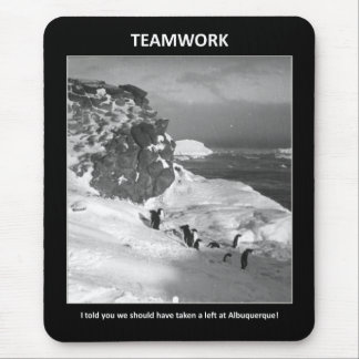 i-told-you-we-should-have-taken-a-left mouse pad