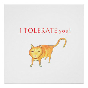 I Tolerate You Moody Orange Kitty Cat Humour Poster