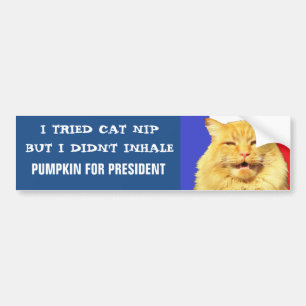 I Tried Nip, I Didn't Inhale Meme Bumper Sticker