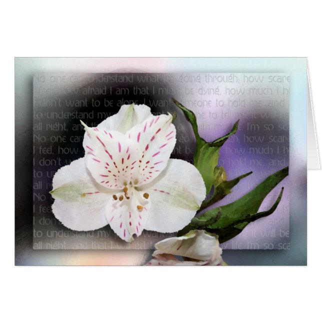 I Understand (Front Horizontal)