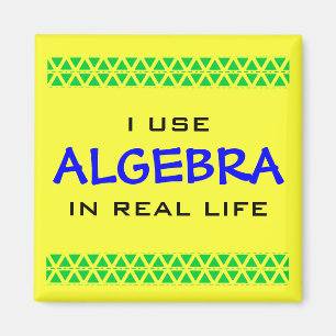 I USE ALGEBRA IN REAL LIFE MAGNET
