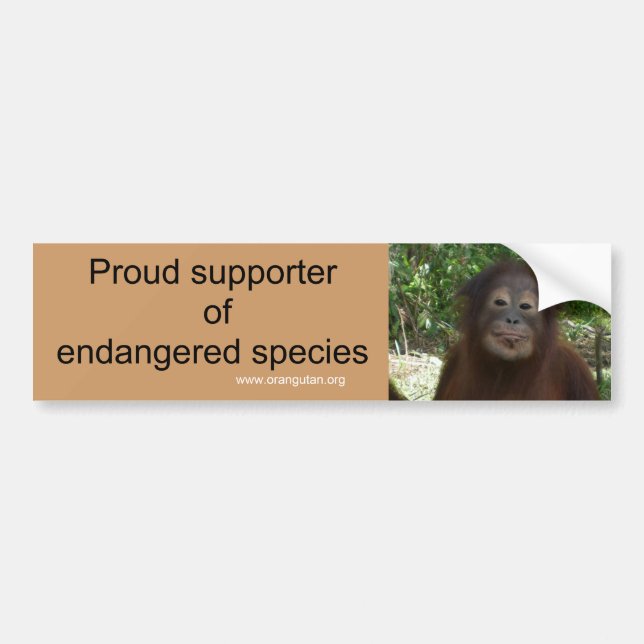 I Vote for Wildlife Conservation Bumper Sticker (Front)