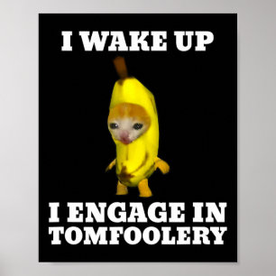 I Wake Up I Engage In Tomfoolery Cat Meme  Poster