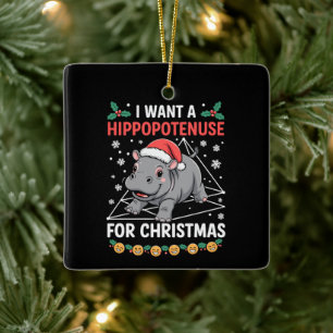 I Want A Hippopotenuse For Christmas Math Teacher Ceramic Ornament