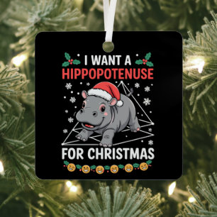 I Want A Hippopotenuse For Christmas Math Teacher Metal Ornament