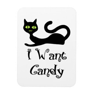 I Want Candy Cat Magnet