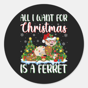 I Want For Christmas Is A Ferret Xmas Tree Lights  Classic Round Sticker