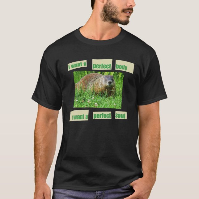 I Want Perfect Body I Want A Perfect Soul T-Shirt (Front)