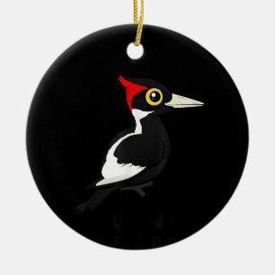 I Want To Believe Ivory-billed Woodpecker Birdorab Ceramic Ornament