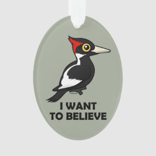 I Want to Believe Ornament