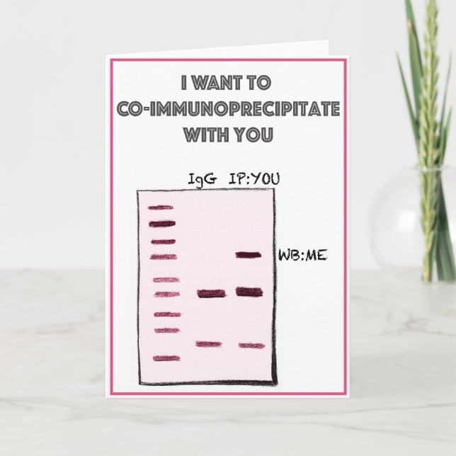 I want to co-IP with you Holiday Card (Front)