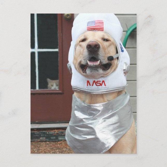 I Want to Take Pictures Postcard (Front)