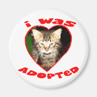 I was Adopted Magnet