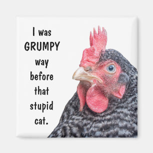 I was GRUMPY Way Before the Stupid Cat. Magnet