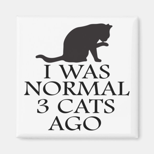 i-was-normal-3-cats-ago--funny-cat magnet (Front)