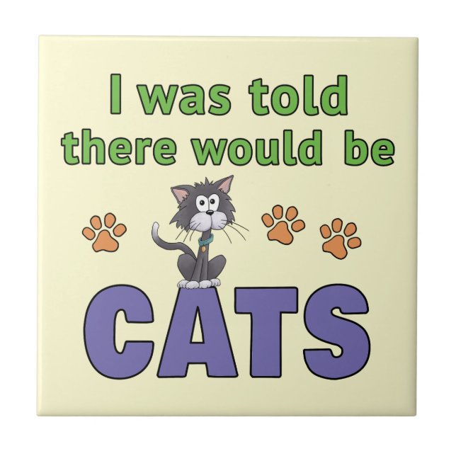 I was told there would be CATS Tile (Front)