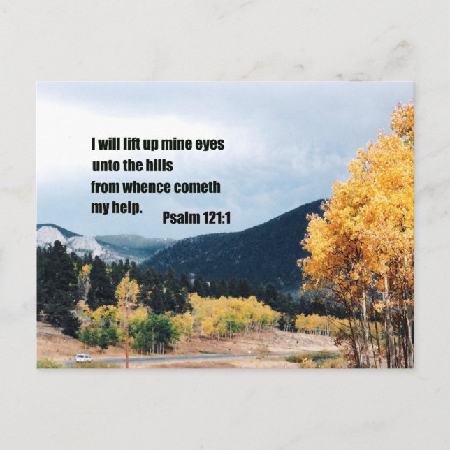 I will lift up mine eyes unto the hills... postcard (Front)