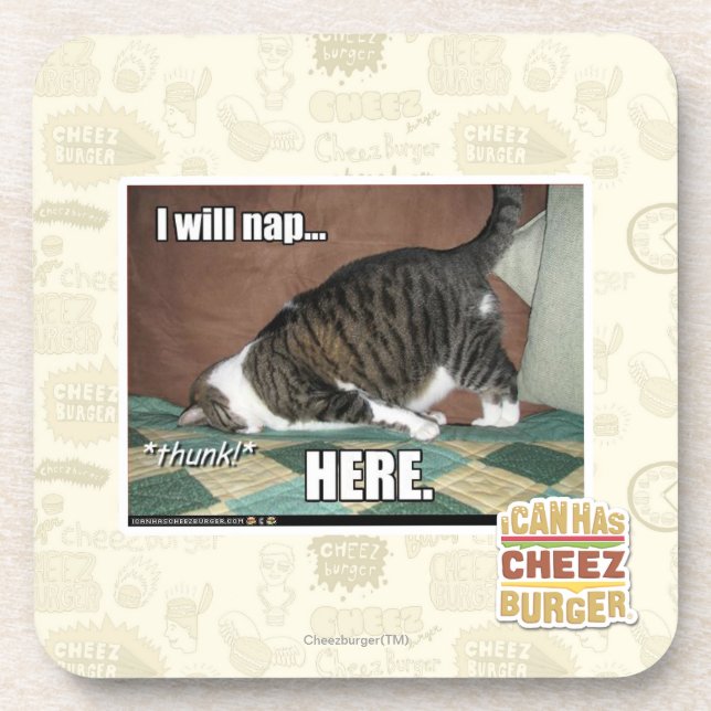 I will nap here coaster (Front)