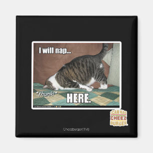 I will nap here magnet