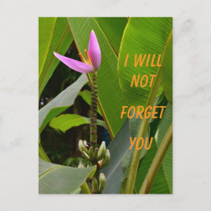 I will not forget christian promise postcard