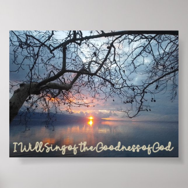 I Will Sing of the Goodness of God Poster (Front)