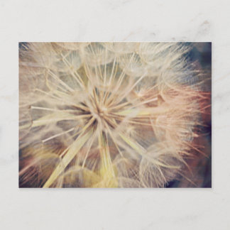 I Wish... - Postcard