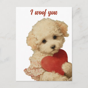 I woof you Vintage Puppy Love Message Postcard
