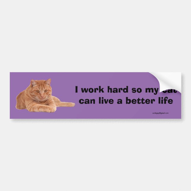 I work hard bumper sticker (Front)