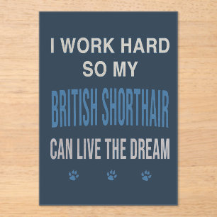 I Work Hard So My British Shorthair Acrylic Invitations