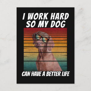 i work hard so my dog can have a better life postcard